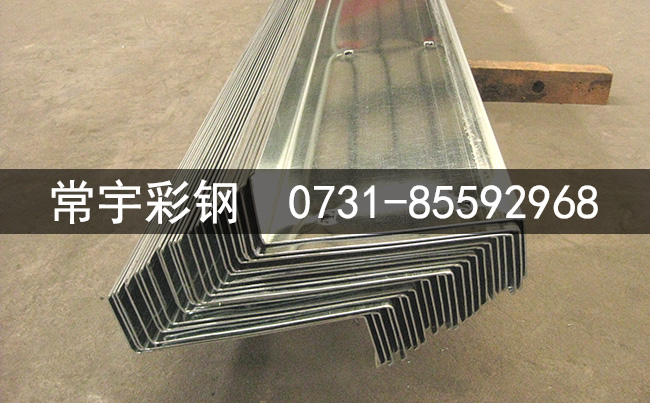 Z���_Z�͙_�l_������Z300���